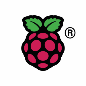 colour raspberry pi symbol registered 300x300